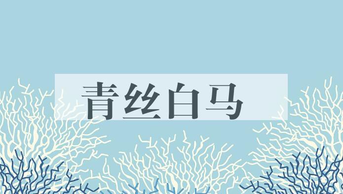成语青丝白马是什么意思？