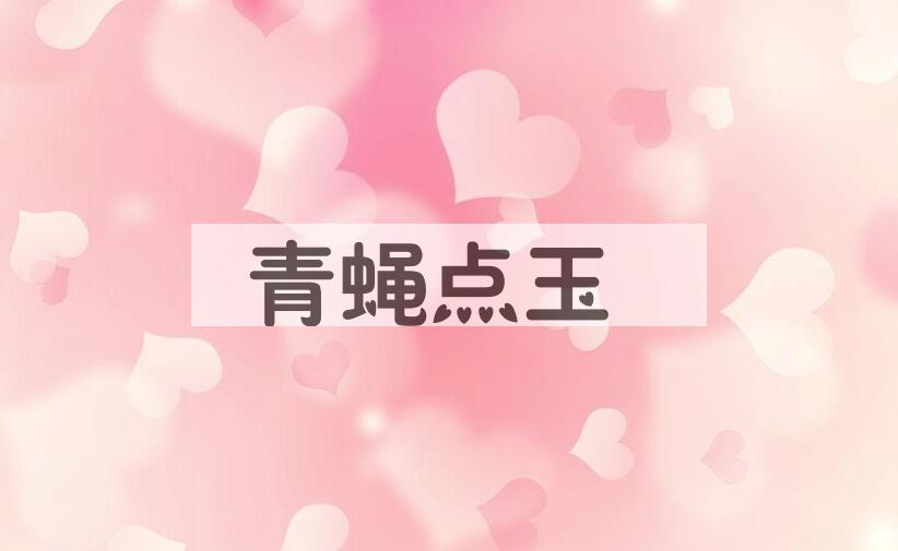 成语青蝇点玉是什么意思？
