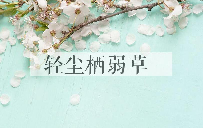 成语轻尘栖弱草是什么意思？