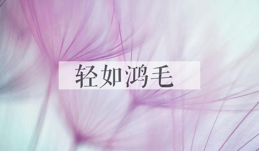 成语轻如鸿毛是什么意思？