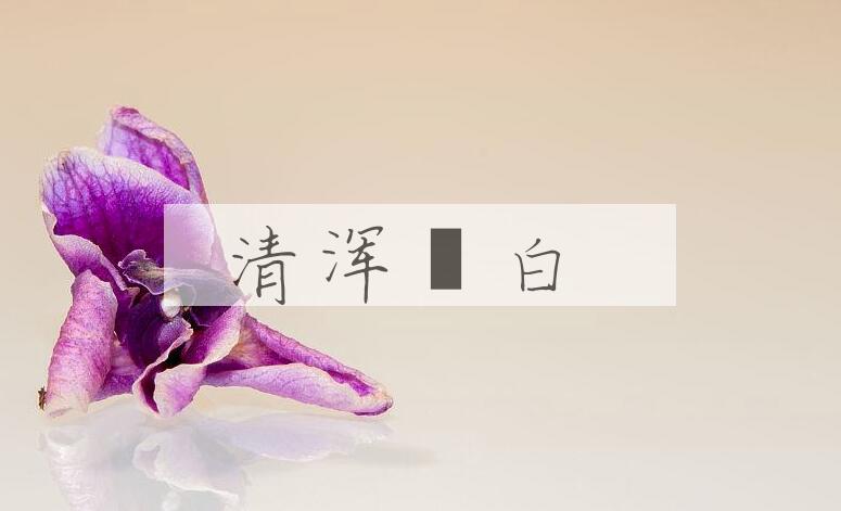 成语清浑皁白是什么意思？
