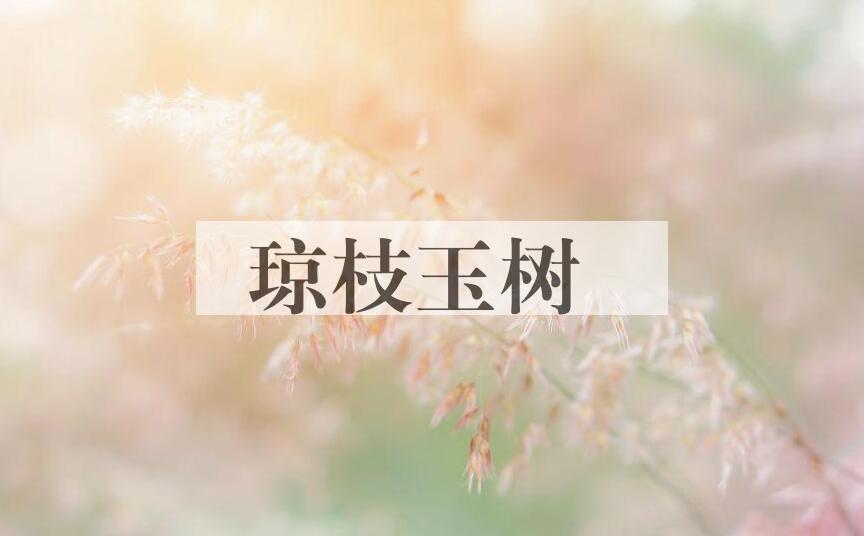 成语琼枝玉树是什么意思？