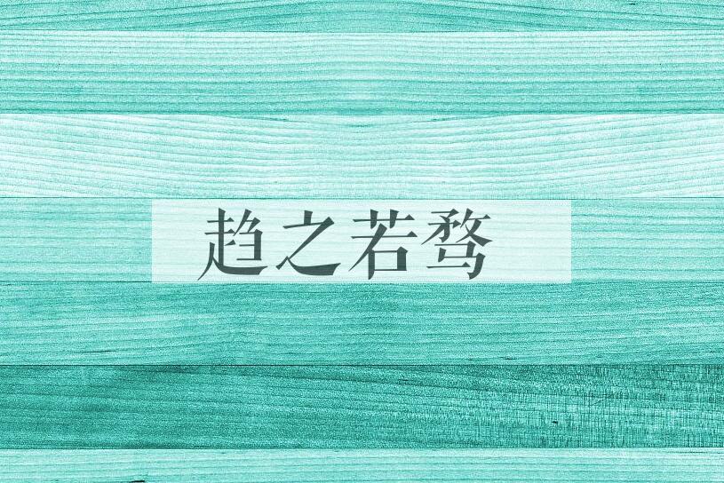 成语趋之若骛是什么意思？