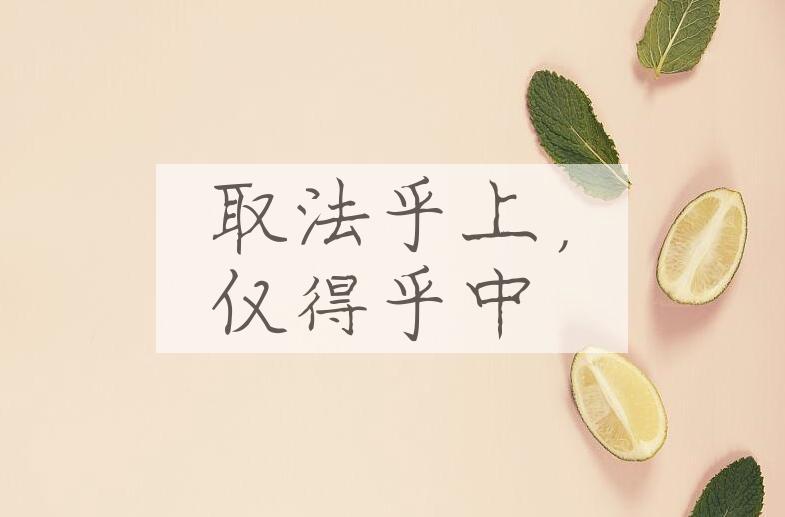 成语取法乎上，仅得乎中是什么意思？