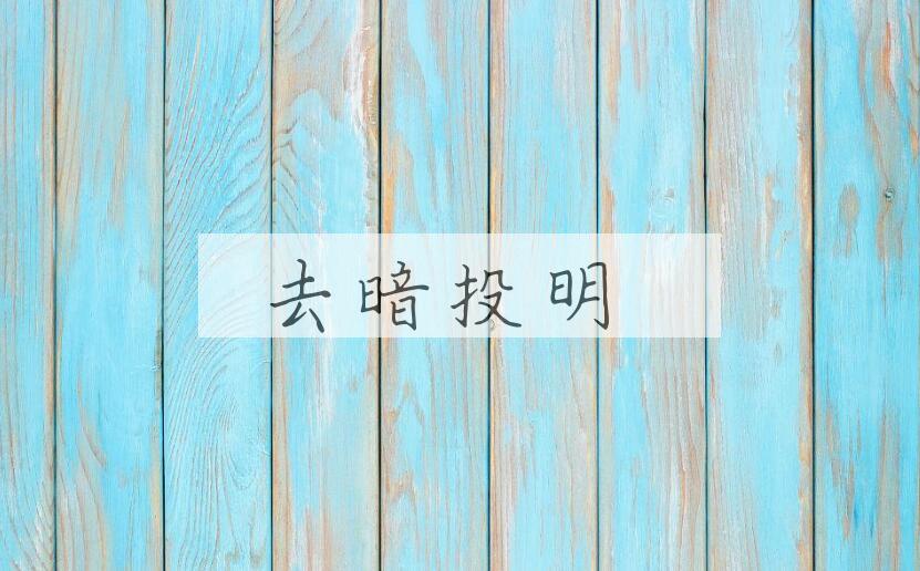 成语去暗投明是什么意思？