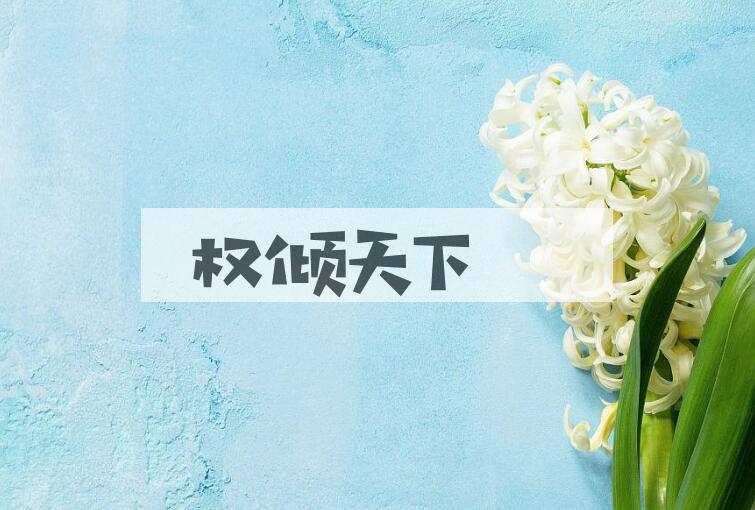 成语权倾天下是什么意思？