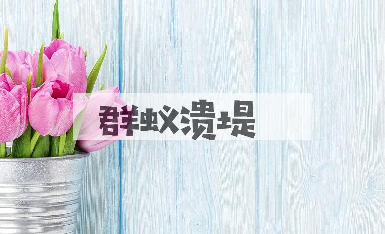 成语群蚁溃堤是什么意思？