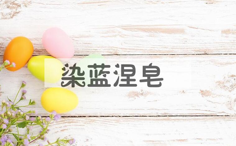 成语染蓝涅皂是什么意思？