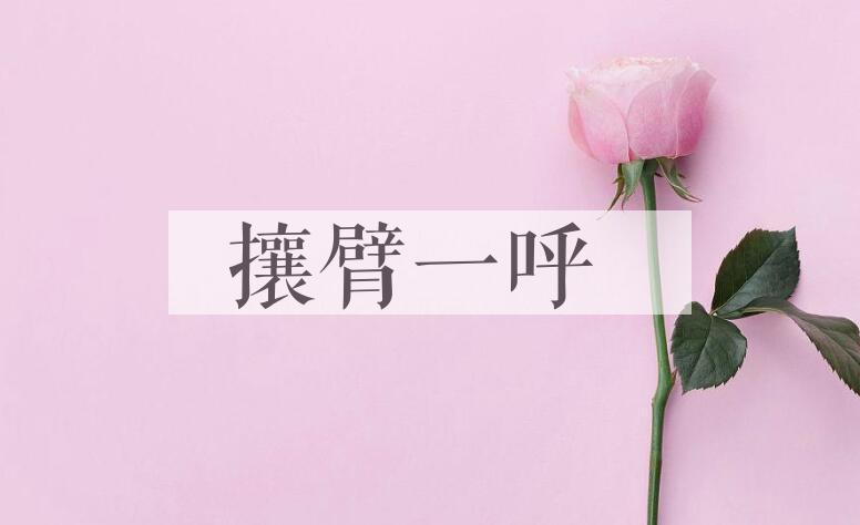 成语攘臂一呼是什么意思？