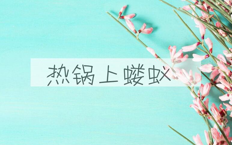 成语热锅上蝼蚁是什么意思？