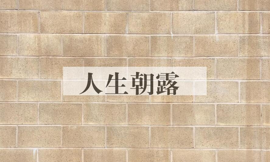 成语人生朝露是什么意思？