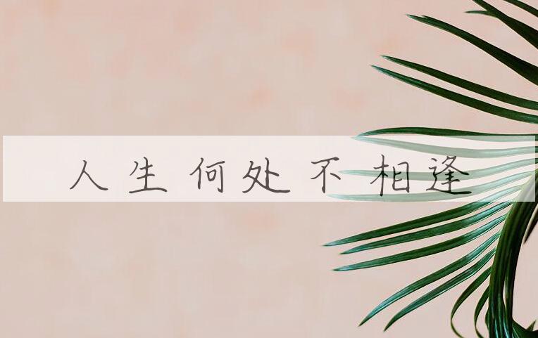 成语人生何处不相逢是什么意思？