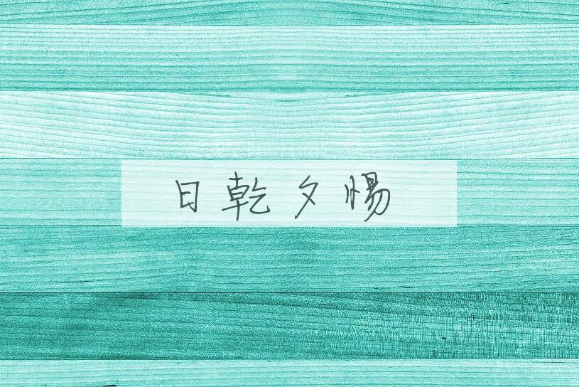 成语日乾夕惕是什么意思？