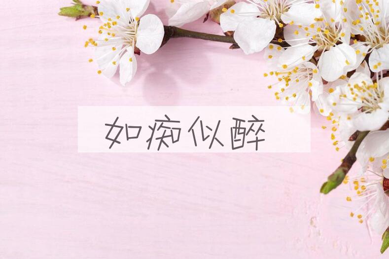 成语如痴似醉是什么意思？