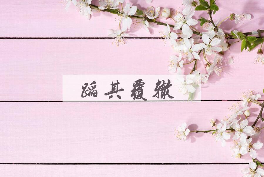 成语蹈其覆辙是什么意思？