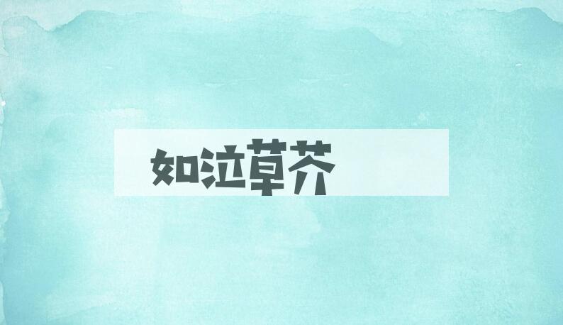 成语如泣草芥是什么意思？