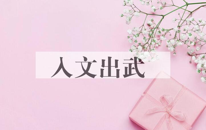 成语入文出武是什么意思？