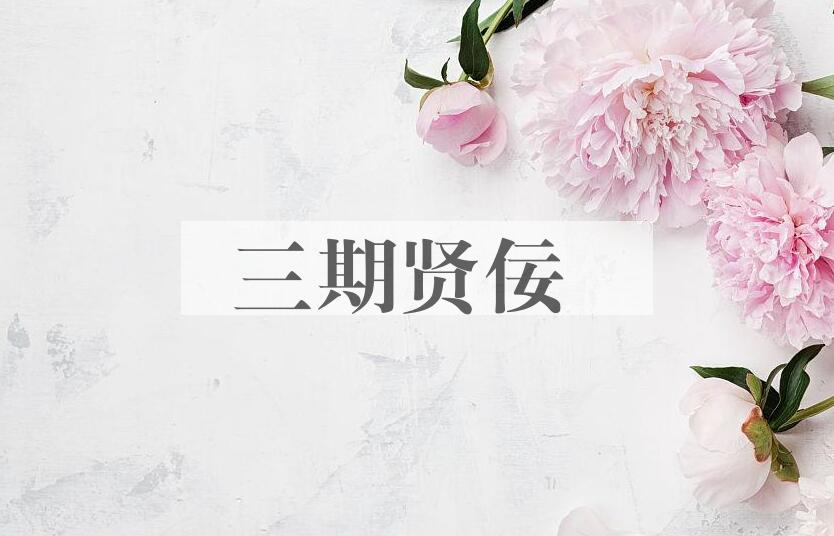 成语三期贤佞是什么意思？