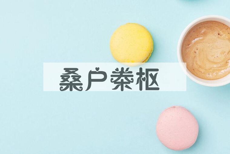 成语桑户桊枢是什么意思？