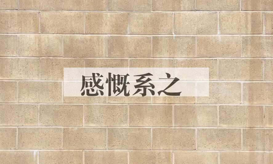 成语感慨系之是什么意思？