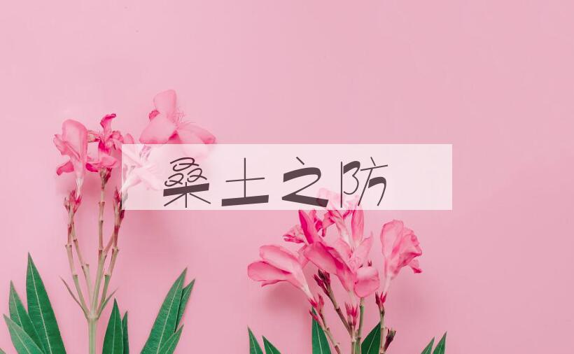 成语桑土之防是什么意思？