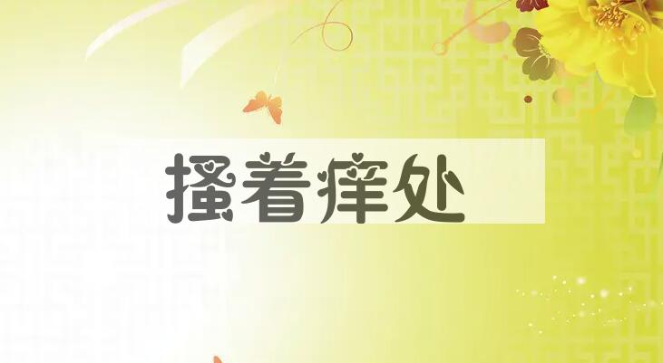 成语搔着痒处是什么意思？