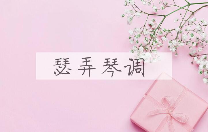 成语瑟弄琴调是什么意思？
