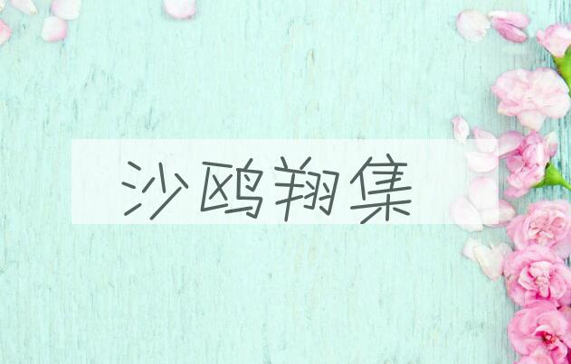成语沙鸥翔集是什么意思？