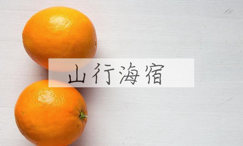 成语山行海宿是什么意思？