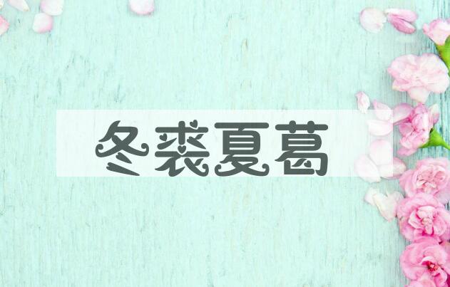 成语冬裘夏葛是什么意思？