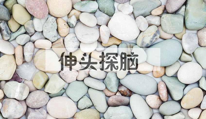 成语伸头探脑是什么意思？