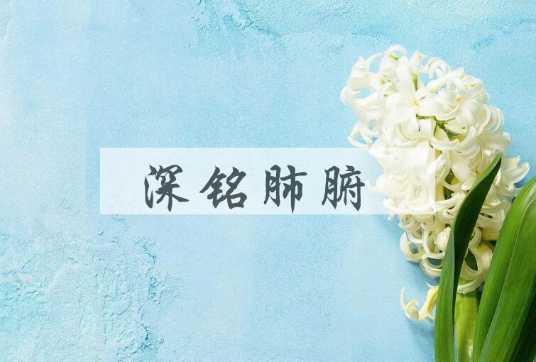成语深铭肺腑是什么意思？