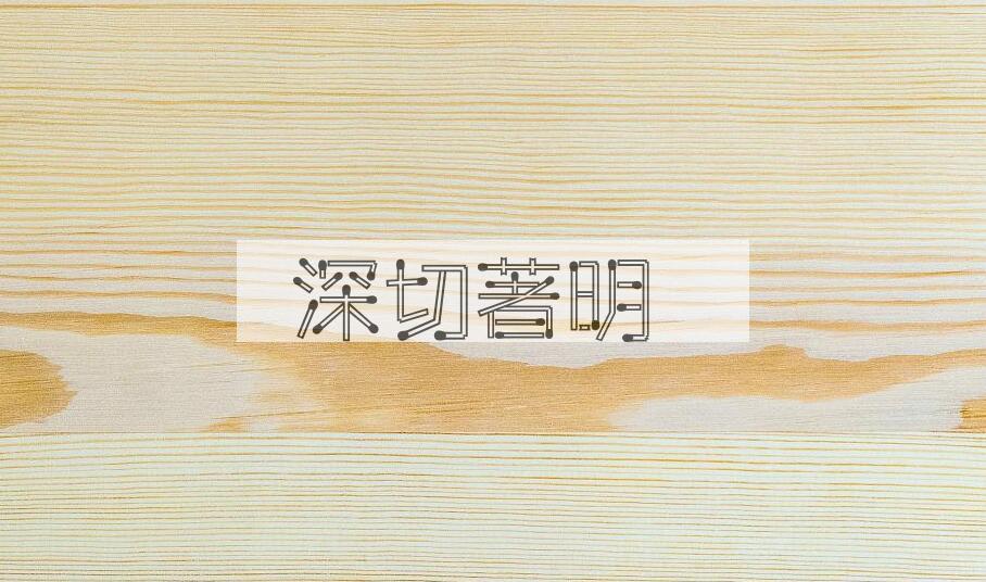 成语深切著明是什么意思？