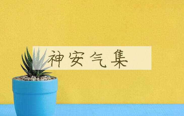 成语神安气集是什么意思？