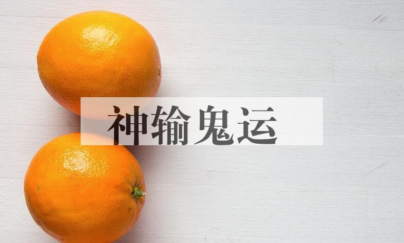 成语神输鬼运是什么意思？