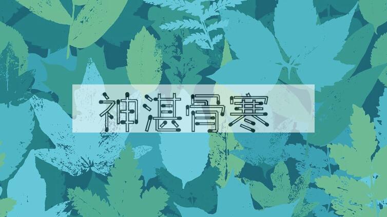 成语神湛骨寒是什么意思？