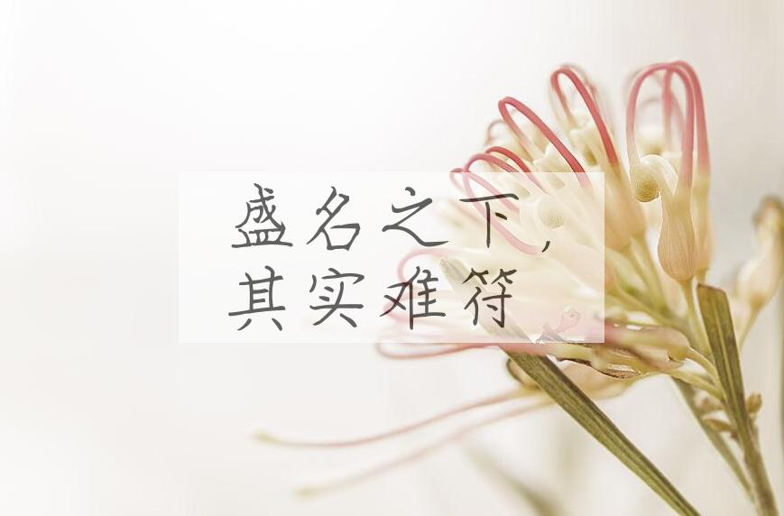 成语盛名之下，其实难符是什么意思？