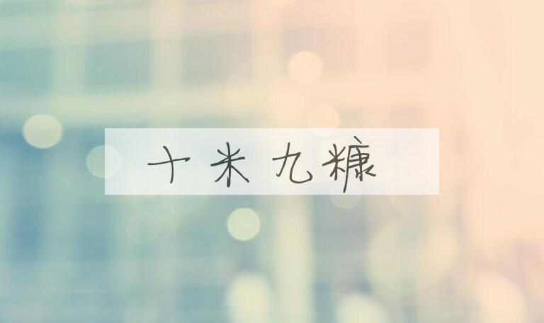 成语十米九糠是什么意思？