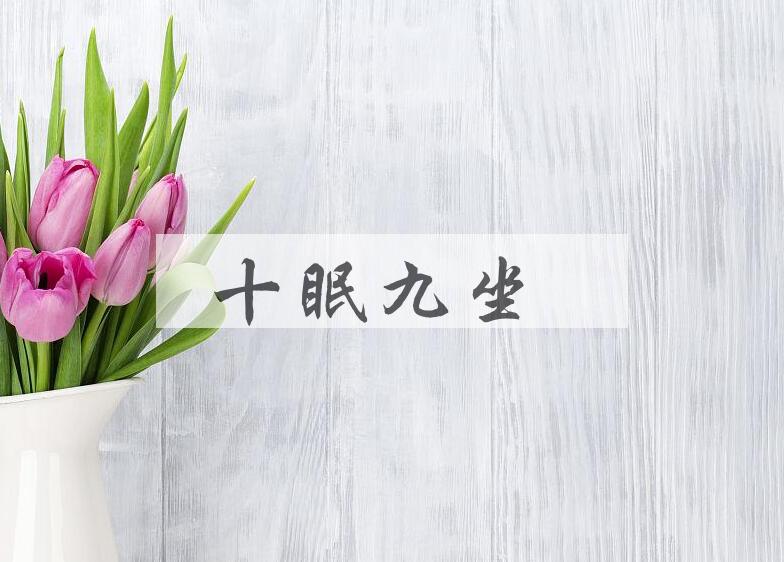 成语十眠九坐是什么意思？