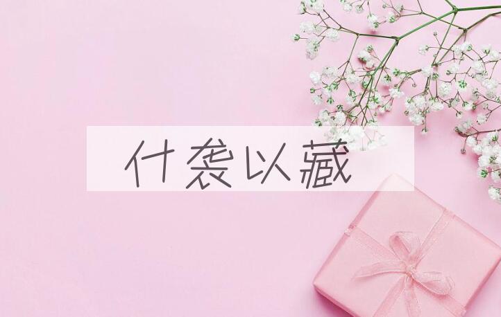 成语什袭以藏是什么意思？