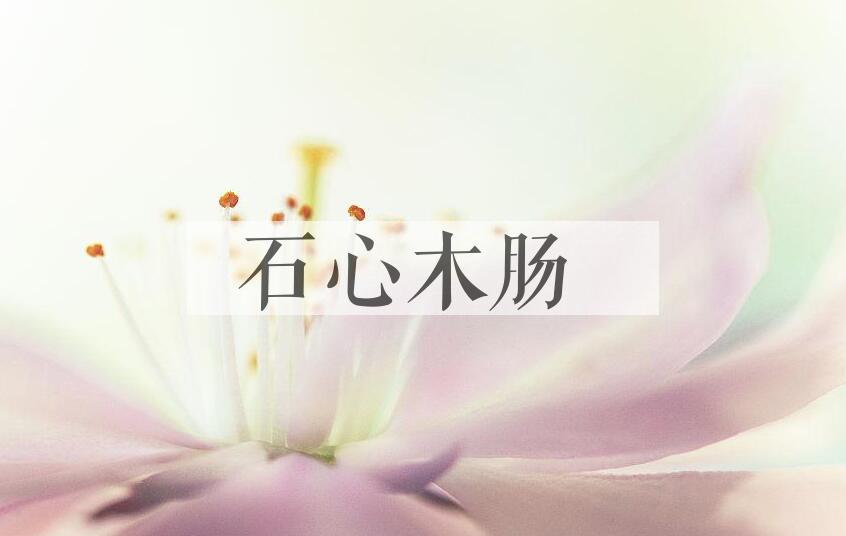 成语石心木肠是什么意思？