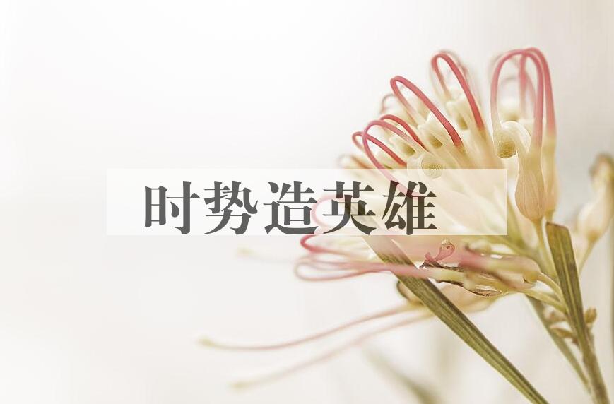 成语时势造英雄是什么意思？