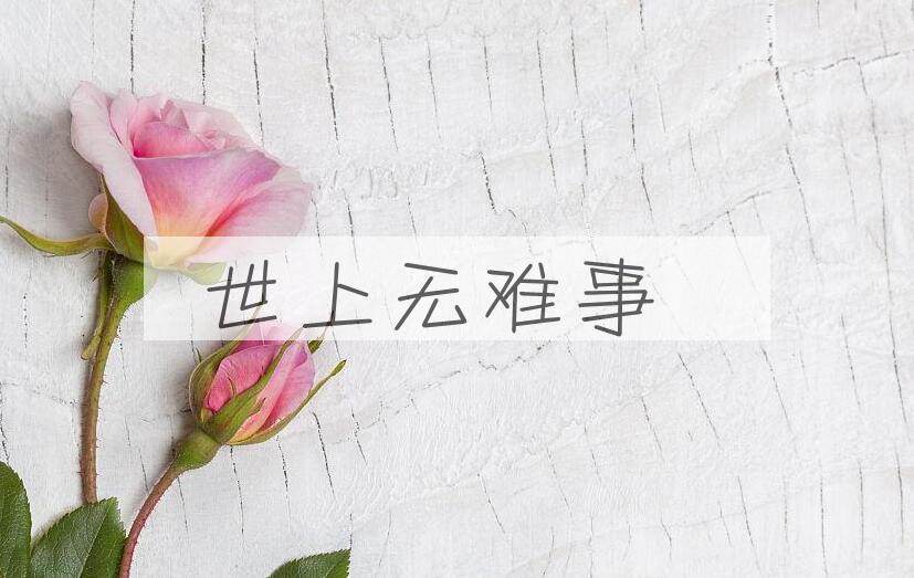 成语世上无难事是什么意思？