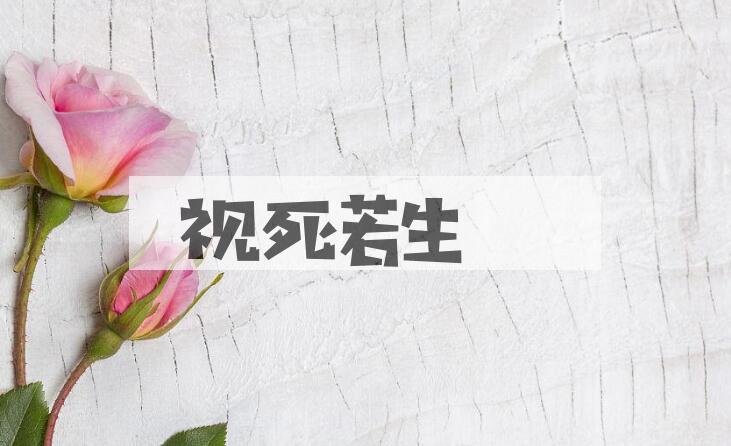 成语视死若生是什么意思？