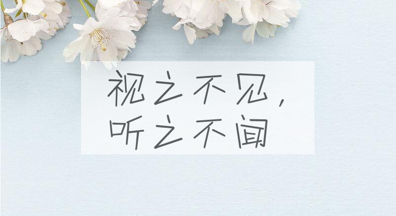 成语视之不见，听之不闻是什么意思？