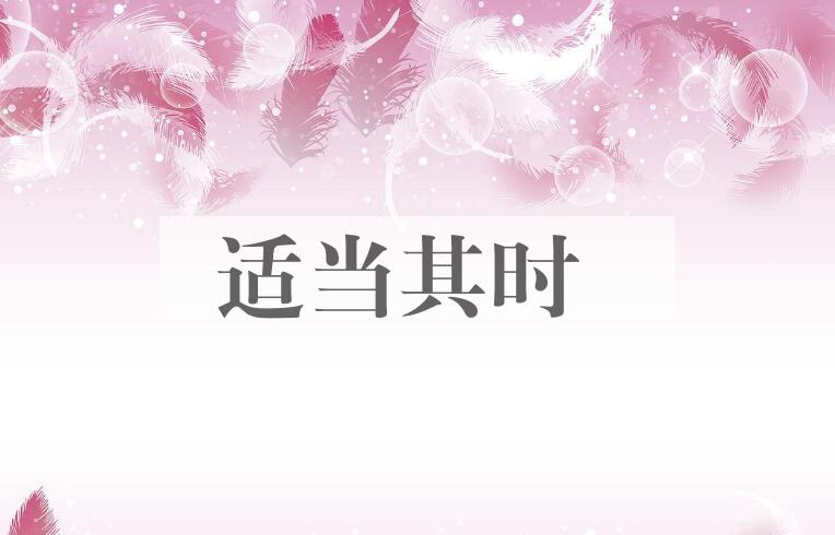 成语适当其时是什么意思？