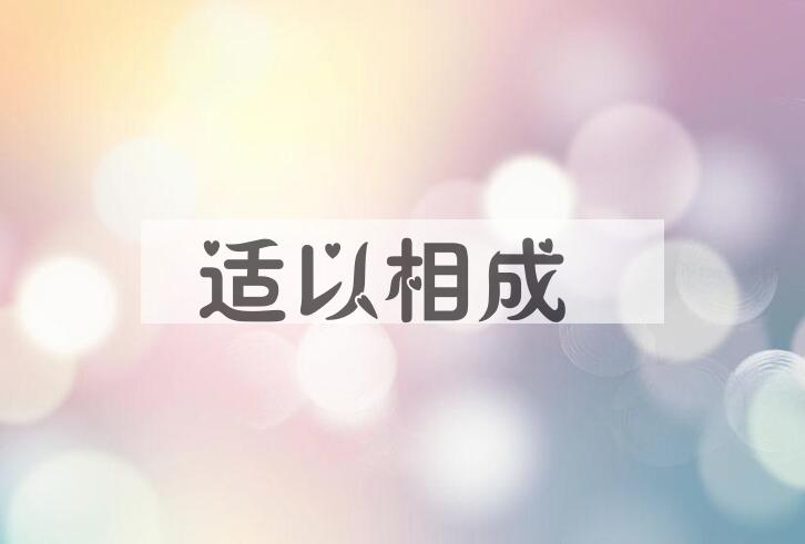 成语适以相成是什么意思？