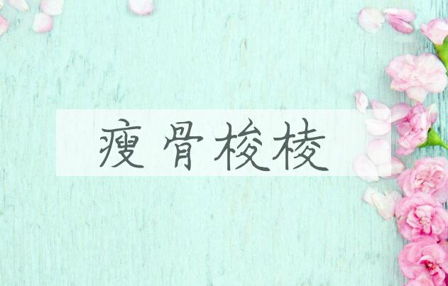 成语瘦骨梭棱是什么意思？