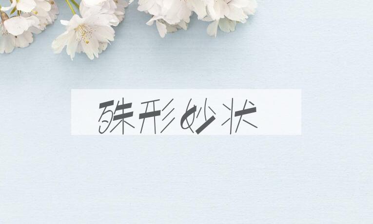 成语殊形妙状是什么意思？