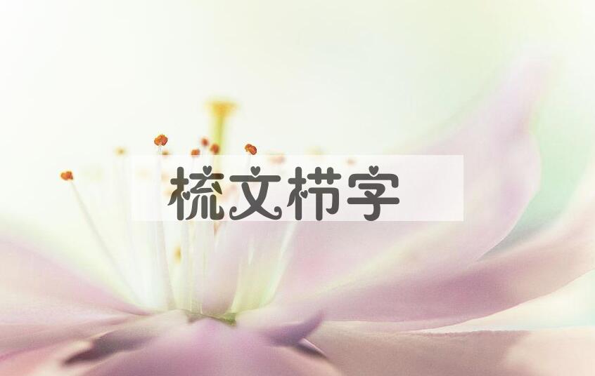 成语梳文栉字是什么意思？